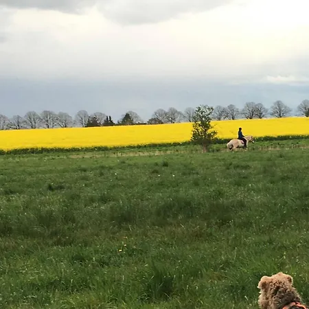 Casa vacanze E13 Reetdachhaus 